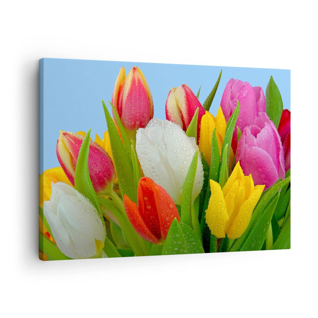 Bilder auf Leinwand Tulpen Blumenstrauss Blumen Tau Leinwandbild 70x50cm Wandbilder Dekoration Wohnz