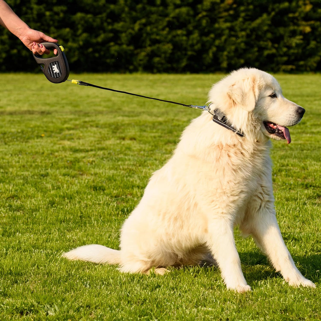 Ferplast Reflektierende Hundeleine Flippy ONE Reflex, Rollleine grosse Hunde bis 35 kg. Ausziehbare