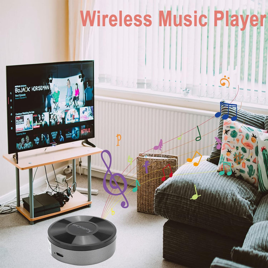 ciciglow WiFi Audio Vorverstärker Receiver, Musik Empfäner HiFi Audio Receiver Airplay DLNA Kompatib