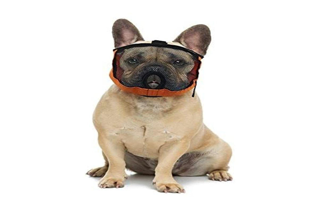 Brachycephalic Maulkorb für Hunde mit abgeflachter Schnauze: Englische Bulldogge, Französische Bulld