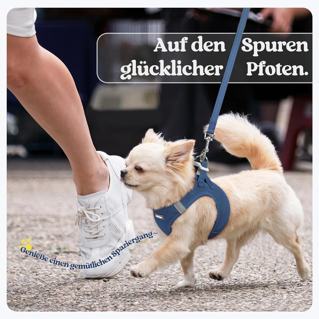 rabbitgoo Hundegeschirr Kleine Hunde mit Leine, Step-in Welpengeschirr Weich Mesh für Spaziergänge,