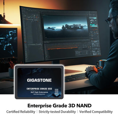 Gigastone NAS SSD 1TB Enterprise SSD Festplatte (2er-Pack) TLC Hohe Dauerhaltbarkeit Server SSD für