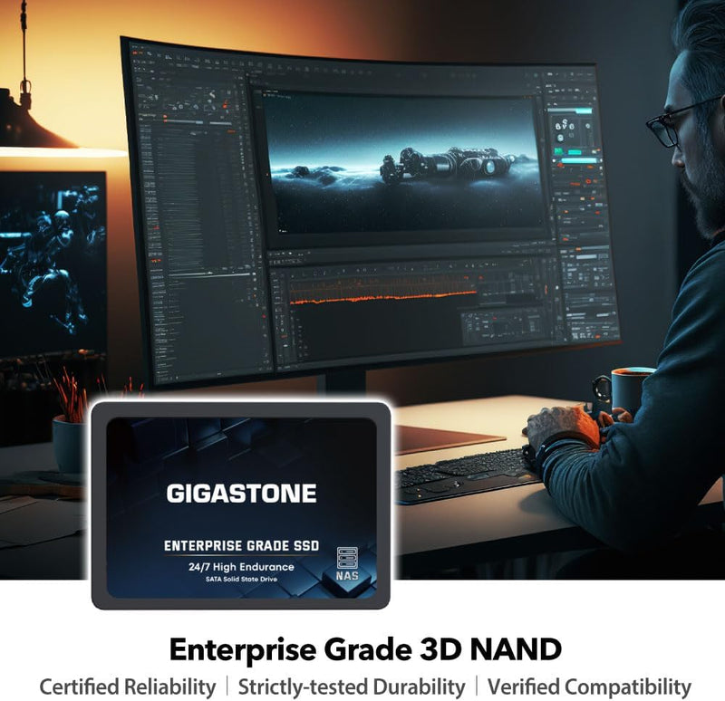 Gigastone NAS SSD 1TB Enterprise SSD Festplatte (2er-Pack) TLC Hohe Dauerhaltbarkeit Server SSD für