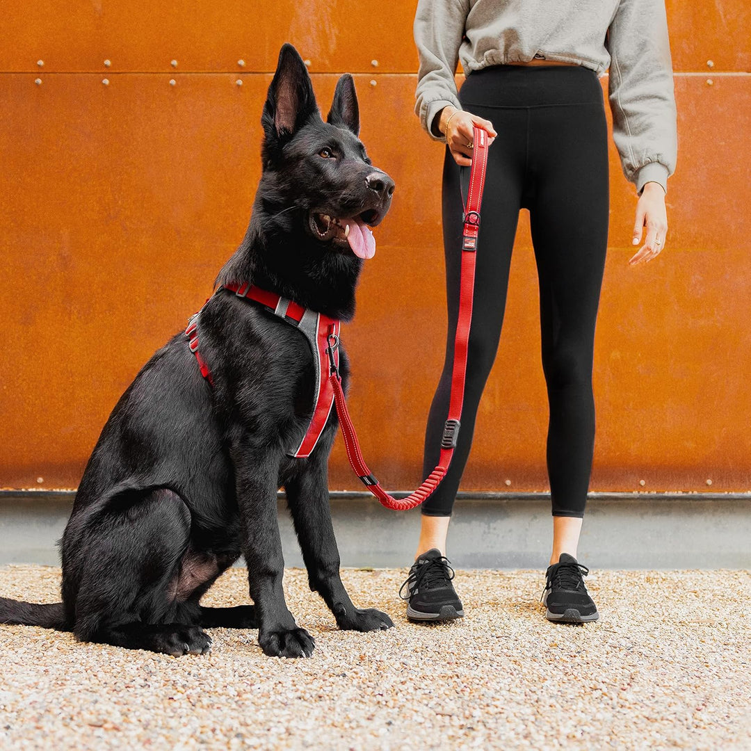 EzyDog No-Pull Hundegeschirr für Kleine Hunde, X-Link Anti Zug Geschirr Hund Verstellbar, Welpengesc