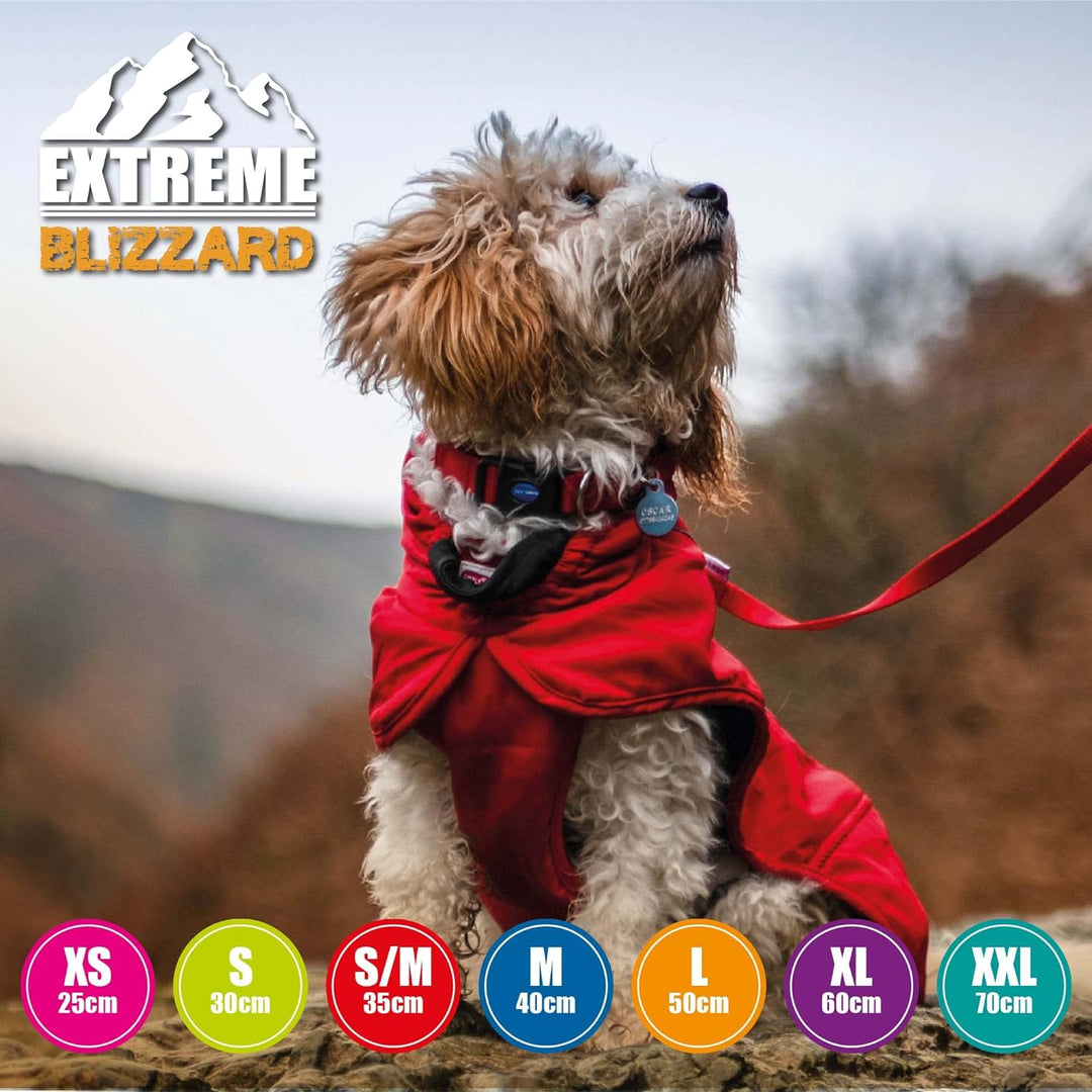 Ancol Extreme Blizzard Hundemantel, 40 cm, Schwarz Schwarz M, Schwarz M