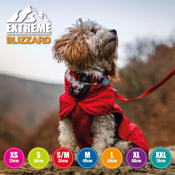 Ancol Extreme Blizzard Hundemantel, 40 cm, Schwarz Schwarz M, Schwarz M
