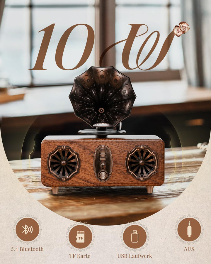 COLSUR Retro Bluetooth Lautsprecher Vintage FM Radio unterstützt TF-Karte/AUX/USB tragbarer kabellos