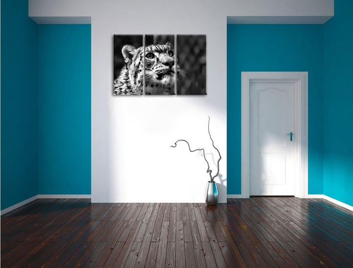 Pixxprint Leopard als Leinwandbild/Grösse: 3 Teilig (120x80) cm/Wandbild/Kunstdruck/fertig bespannt