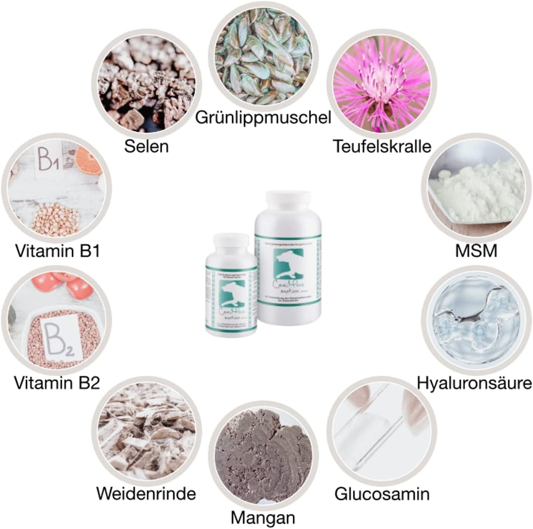 CaniMove Immune (ehemals EPA70) Mini &amp; Motion Mini - Das Kombipaket mit je 1 Packung für kleine Hund