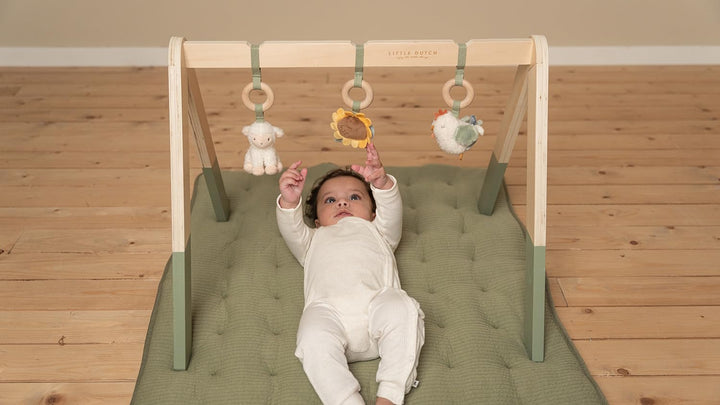 Little Dutch Baby Gym Spieltrapez Spielbogen Holz inkl. Anhänger grün - Little Farm