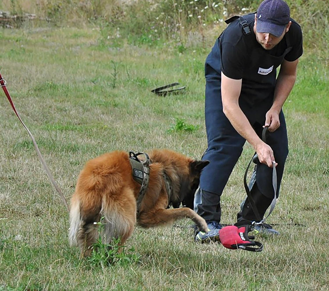Dingo Gear Beisskissen Keilform Mini Weicher aus Baumwolle-Nylon Rot Welpen und Junge Hunde Ausbildu