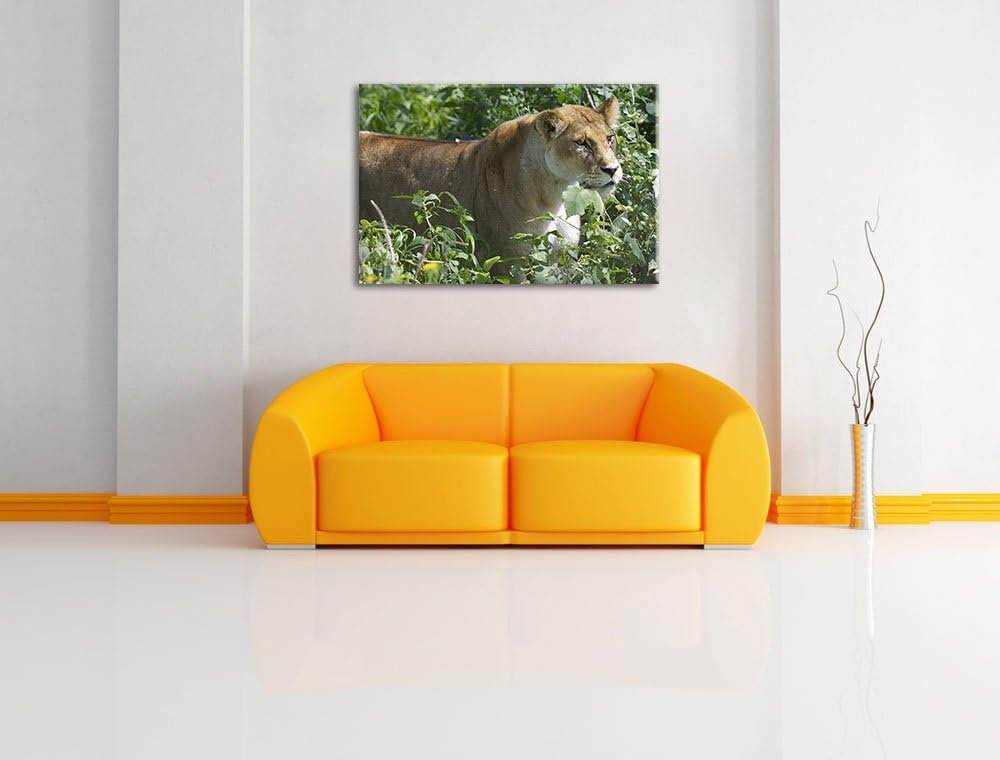 Pixxprint wachsame Löwin Leinwand, XXL riesige Bilder fertig gerahmt mit Keilrahmen, Kunstdruck auf