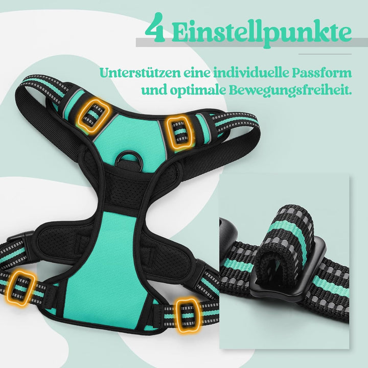 rabbitgoo Hundegeschirr Mittelgrosse Hunde Anti Zug Geschirr Hund mit Kontrolle No Pull Verstellbar