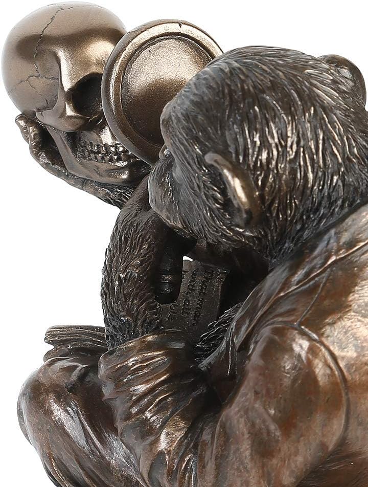 Nemesis Now Darwinism of Evolutionary Theory Box, Bronze, Harz, 17,5 cm