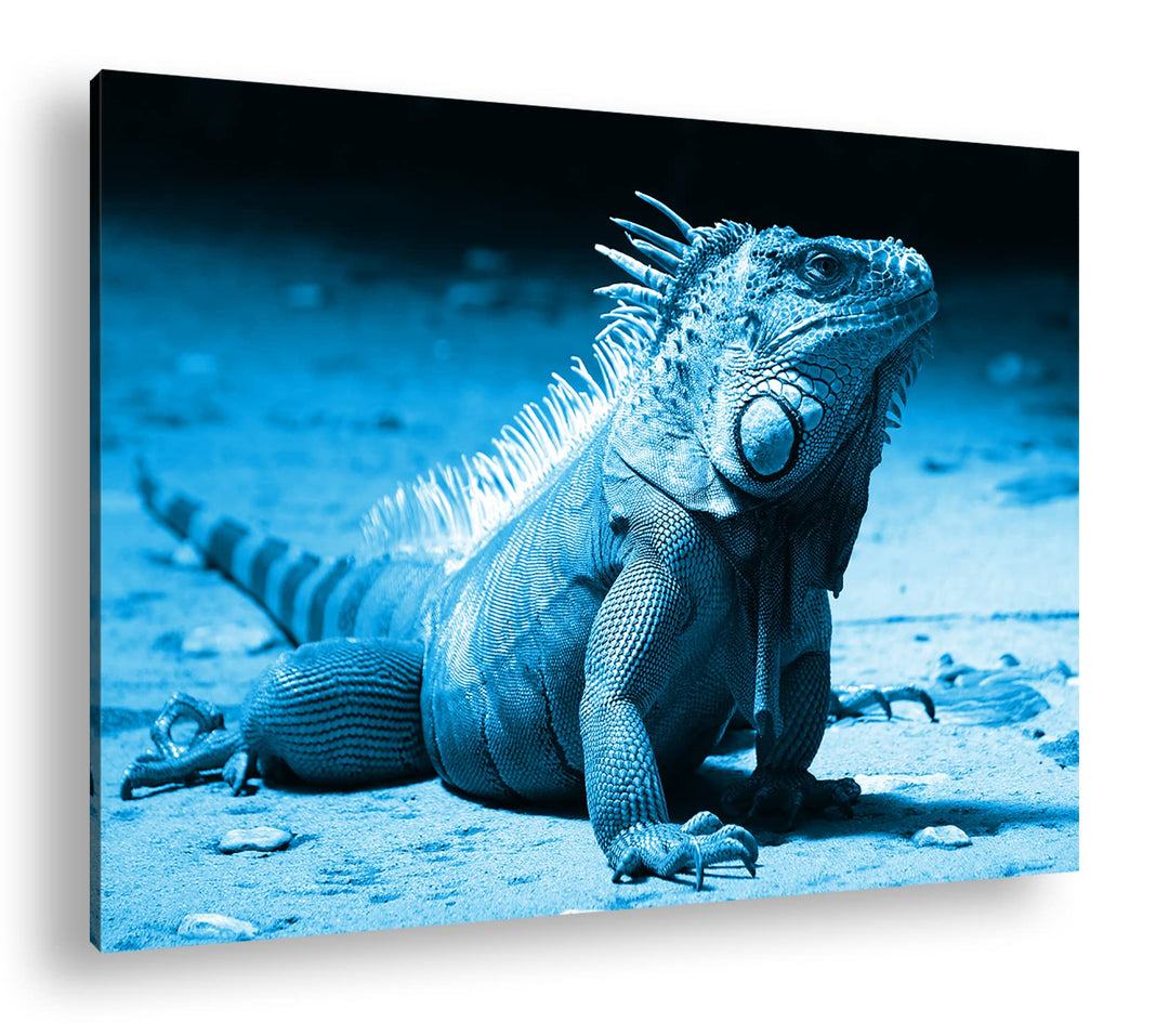 deyoli edler grüner Leguan Format: 80x60 Effekt: Monocrome Blau als Leinwand, Motiv fertig gerahmt a