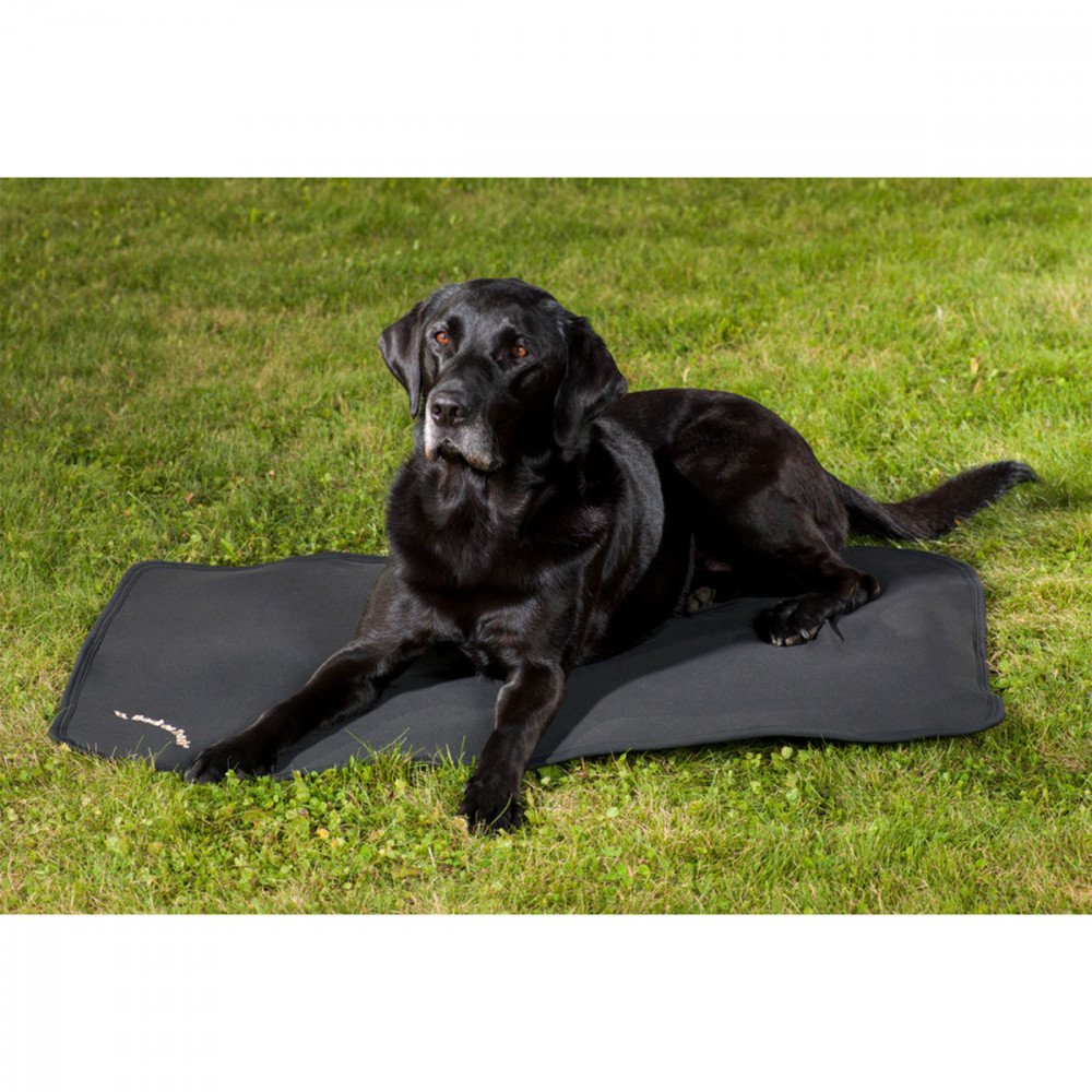 Hundematratze Cage Fit, Back on Track® - Hund - Grösse 76 x 58 cm 76x58 cm, 76x58 cm