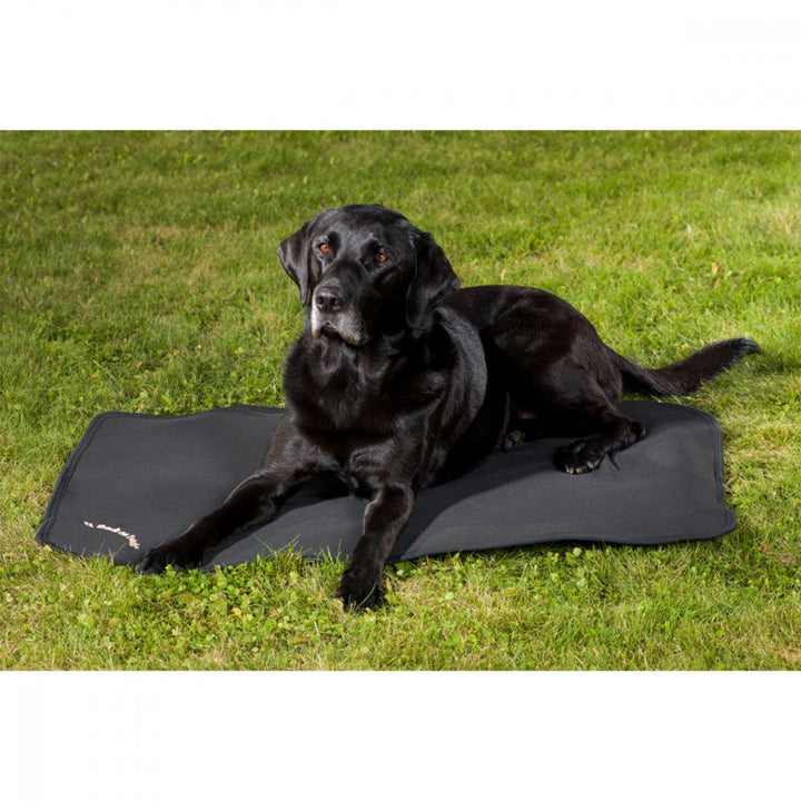 Hundematratze Cage Fit, Back on Track® - Hund - Grösse 55 x 38 cm 55x38 cm, 55x38 cm