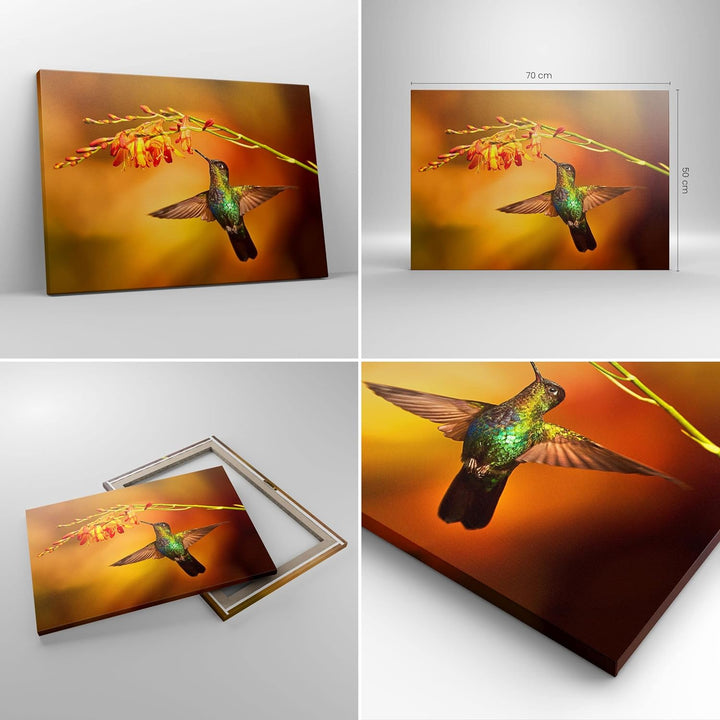 Bilder auf Leinwand Kolibri Vogel Sommer Leinwandbild mit Rahmen 70x50cm Wandbilder Dekoration Wohnz