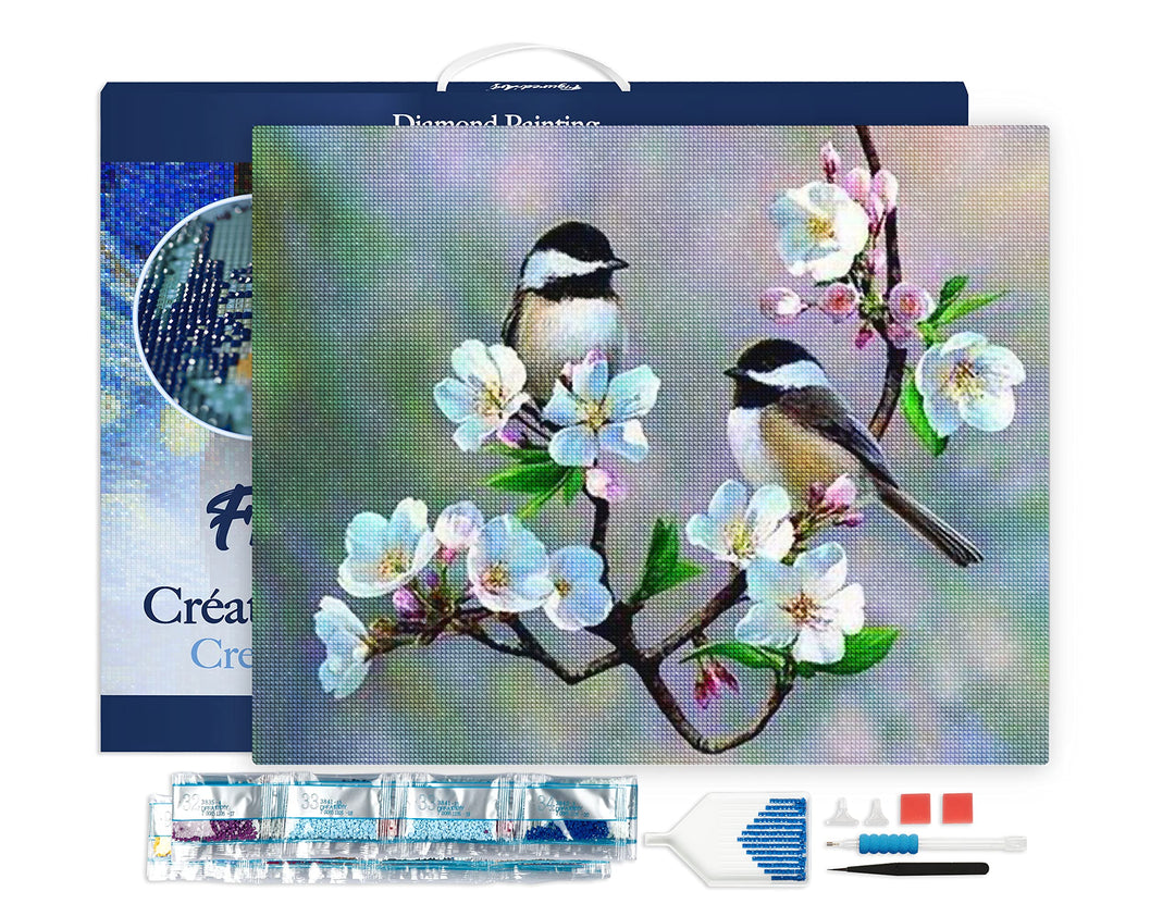 Figured'Art Diamond Painting Erwachsene 40x50cm Mit Rahmen Ganze Leinwand gespannt Kleine Vögel und