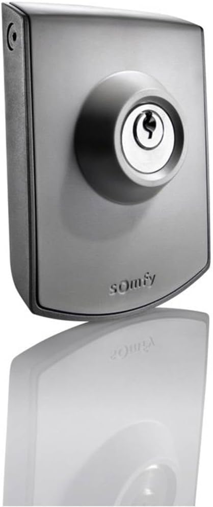Somfy 2400597 -Schlüsseltaster Aufputz zur Bedienung von Torantrieben, grau