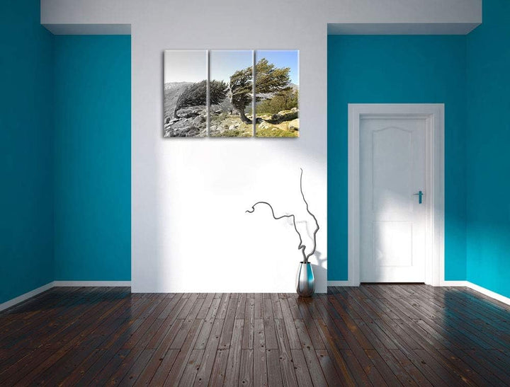 Alter Schiefer Baum in den Bergen schwarz/weiss 3-Teiler Leinwandbild 120x80 Bild auf Leinwand, XXL