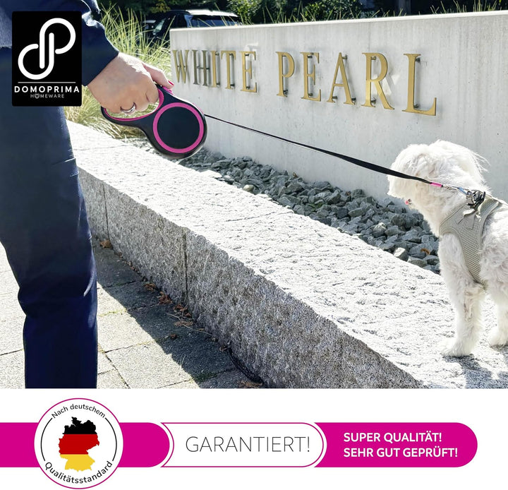 DOMOPRIMA Flexible Hundeleine 5 Meter, 3 Grössen (S,M,L), 4 Farben (grau, blau, grün, pink) - Rollle