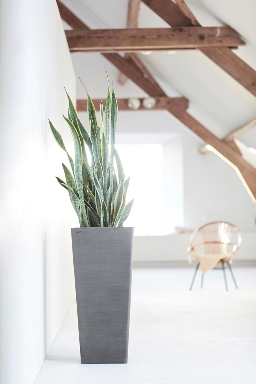 ECOPOTS Blumentopf Rotterdam Grau - 32 x 32 cm, 70 cm extra hoch - quadratisch gross - Pflanzentopf