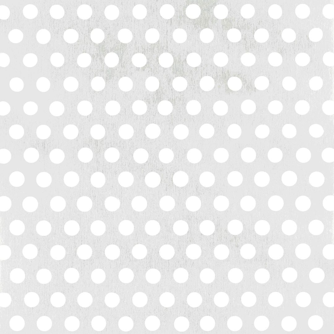 Alberts 466961 Lochblech | runde Lochung | Aluminium, silberfarbig eloxiert | 200 x 1000 x 0,8 mm 20