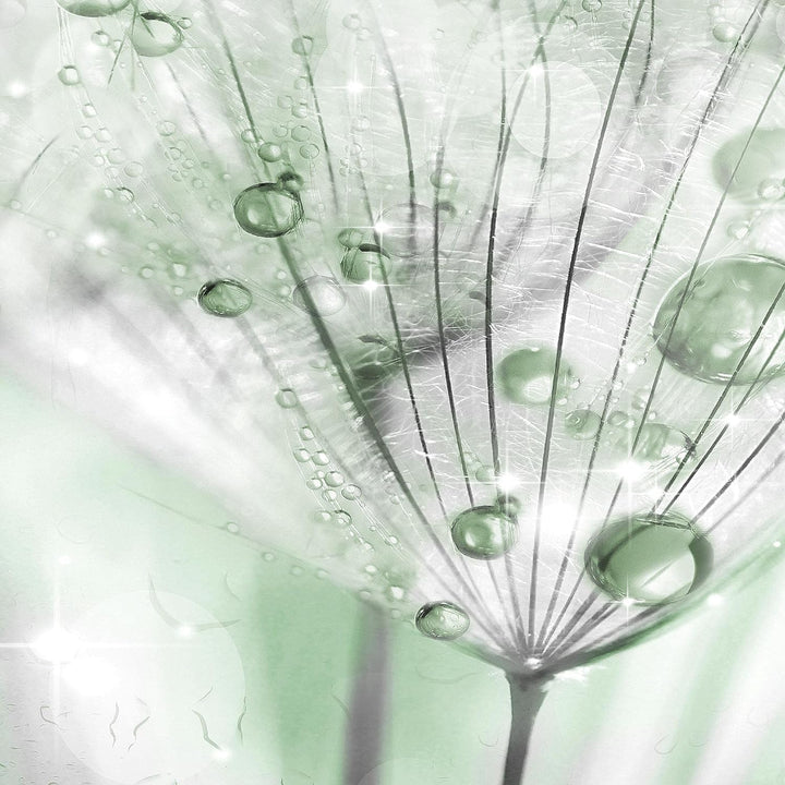 Runa Art Wandbilder Blumen Pusteblume 5 Teilig Bild auf Vlies Leinwand Deko Wohnzimmer Abstrakt Grau
