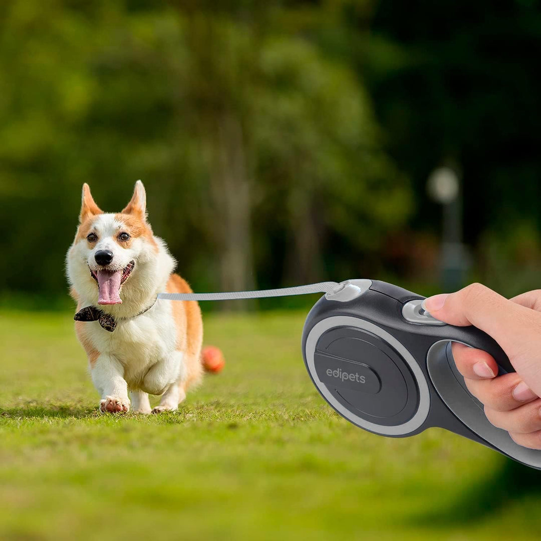 Edipets, Hundeleine, Ausziehbar, Einziehbar, 3, 5 und 8 Meter, Flexibles Band für Rechts- und Spazie