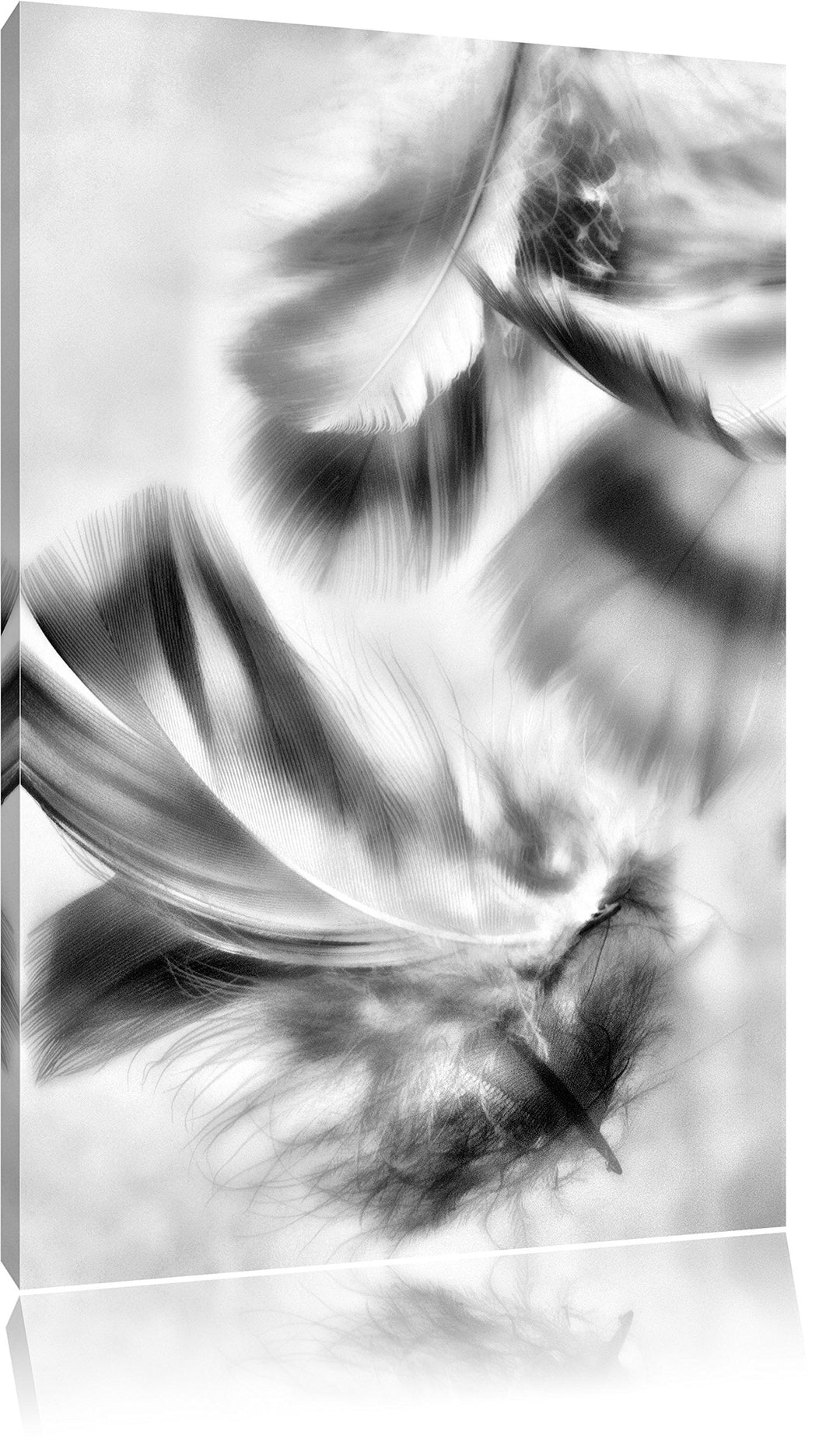 Pixxprint Weisse Feder auf schwarzem Stein als Leinwandbild/Grösse: 100x70 cm/Wandbild/Kunstdruck/fe