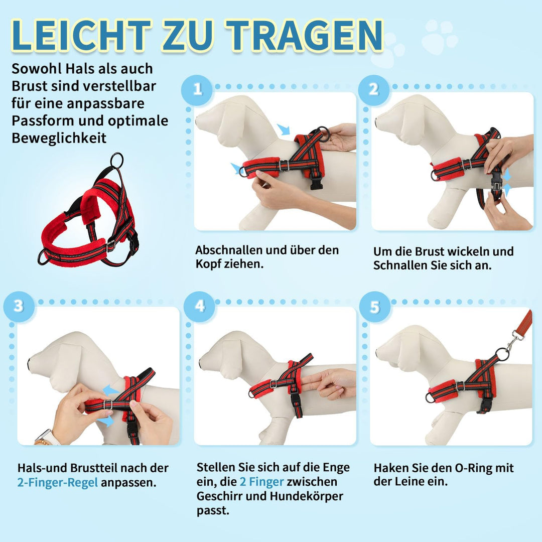 Hundegeschirr mit Leine für mittelgrosse Kleine Hunde, Weich gepolsterter No-Pull Brustgeschirr mit