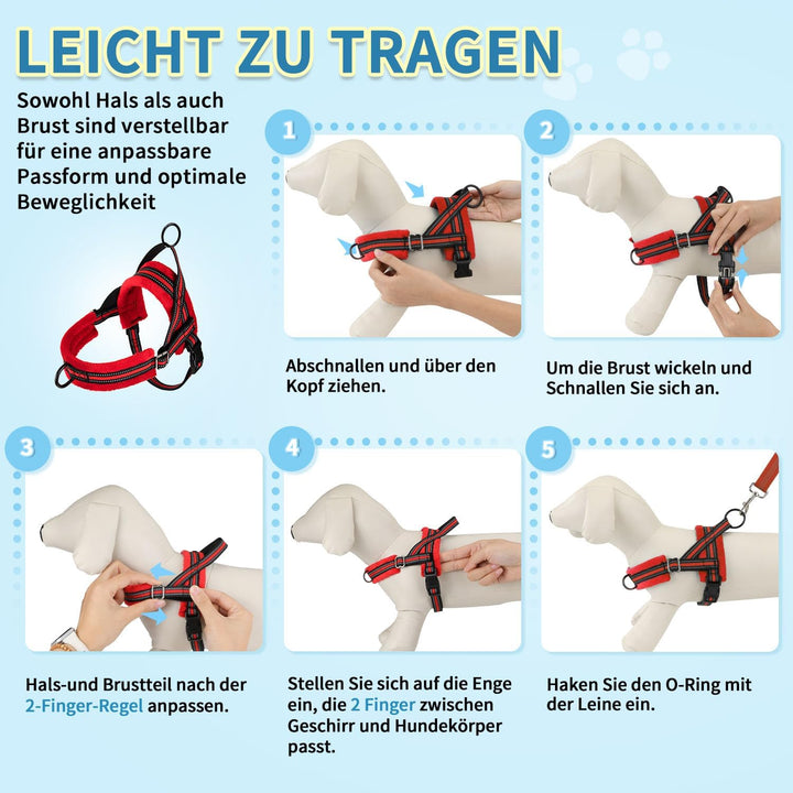 Hundegeschirr mit Leine für mittelgrosse Kleine Hunde, Weich gepolsterter No-Pull Brustgeschirr mit