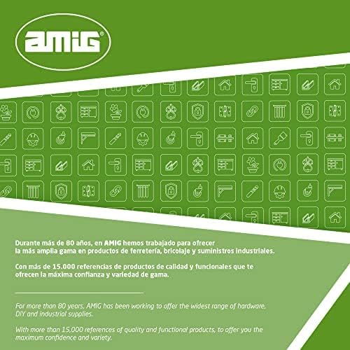 Amig - Sicher | Geldkassette | Safe für Geld, Scheine und Münzen | Mit Münzfach und 2 Schlüsseln | S