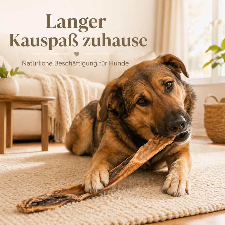 123...Hund dabei! - Rinderkopfhaut 30cm - 2,5kg, schonend getrocknete Rinderkopfhaut für Hunde, Qual