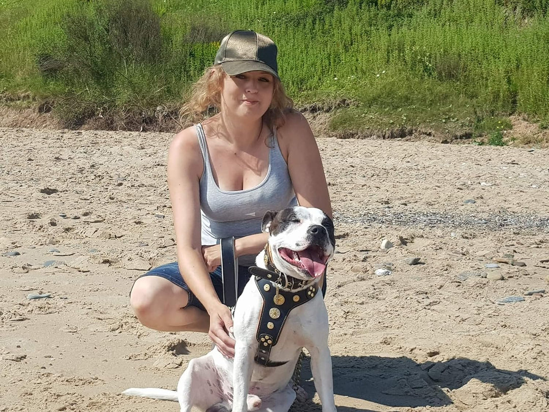 Bestia Bijou Hundegeschirr aus echtem Leder mit Nieten für mittelgrosse bis grosse Rassen 95 -145 cm