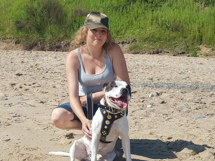 Bestia Bijou Hundegeschirr aus echtem Leder mit Nieten für mittelgrosse bis grosse Rassen 95 -145 cm