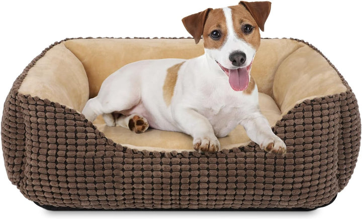 JOEJOY Hundebett Mittelgrosse Hunde, Hundebett Waschbar Flauschig Hundekorb, rutschfeste Hundekörbch
