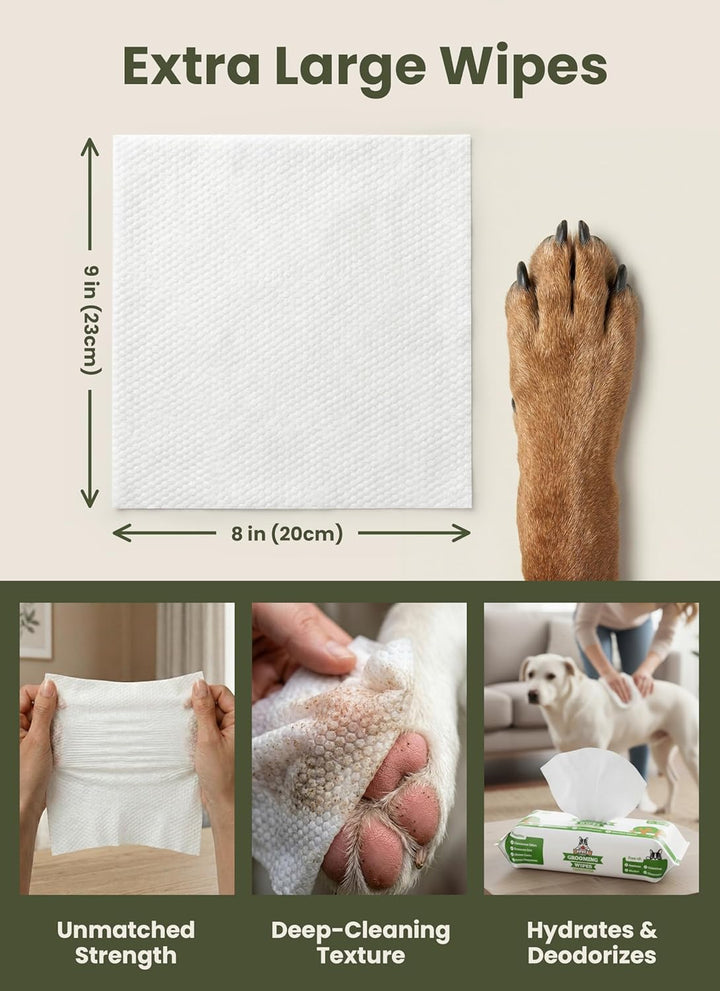 Pogi’s Feuchttücher für Hunde – Doppelpack Reisegrösse, mit Grüner-Tee-Duft, hypoallergen, mit Bambu
