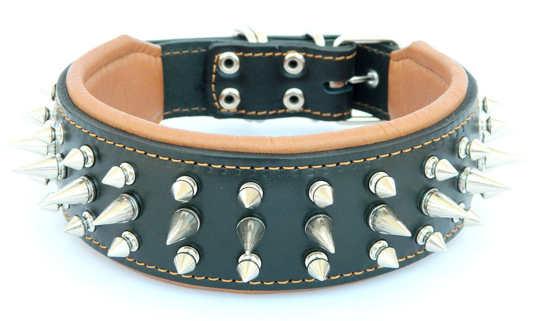 Bestia "Danger Echtleder Hundehalsband mit Schraubspitzen und Leder Innenpolsterung. 6,5 cm breit L-