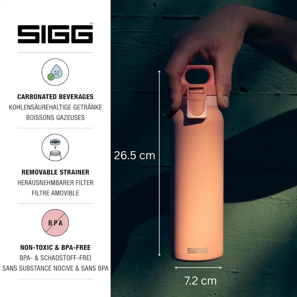 SIGG - Isolierte Trinkflasche - Thermosflasche Hot &amp; Cold One - Mit Teesieb - Auslaufsicher - BPA-fr