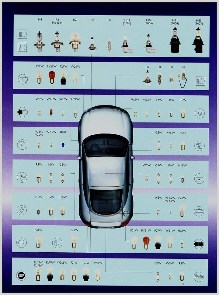 BLUETECH 260 STÜCK ProfiMega SET KFZ Beleuchtung Birne Auto Lampe Glühlampen LONGLIFE mit einer toll