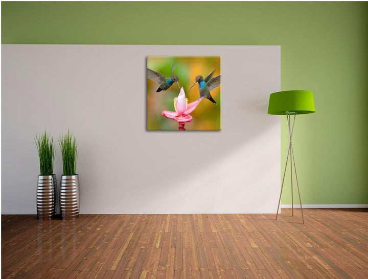 Pixxprint Zwei Fliegende Kolibris in den Tropen, Format: 70x70 auf Leinwand, 70x70