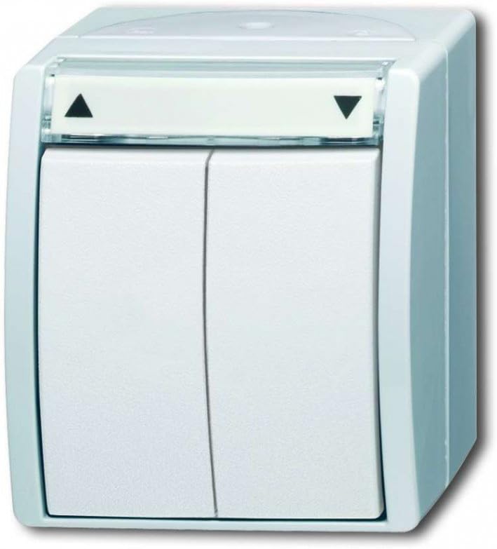 Busch-Jaeger BUSC Jalousietaster 2621/4 W-54, 250 V, Bunt