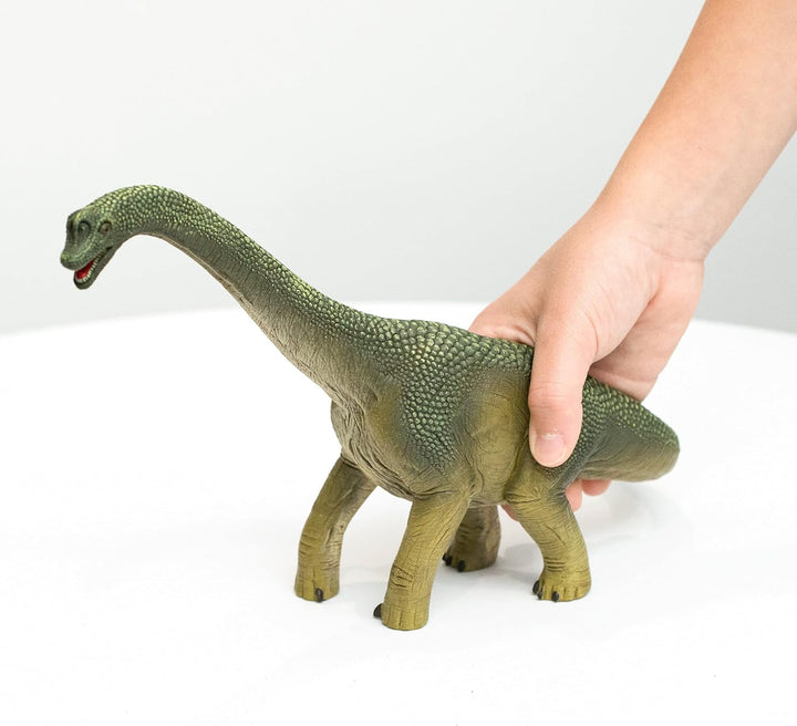 SCHLEICH 14581 Dinosaurs Brachiosaurus, Dinosaurier Figur & Dinosaurs 15008 Realistische Pteranodon