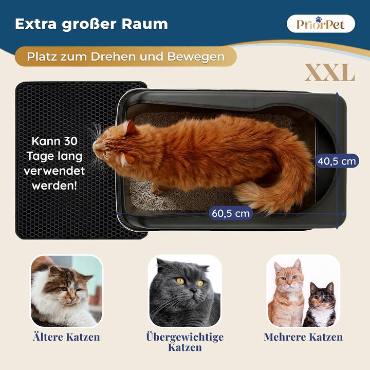 Katzenklo Edelstahl XXL Matt Schwarz – Leicht zu reinigen, geruchsresistent – Katzentoilette mit hoh