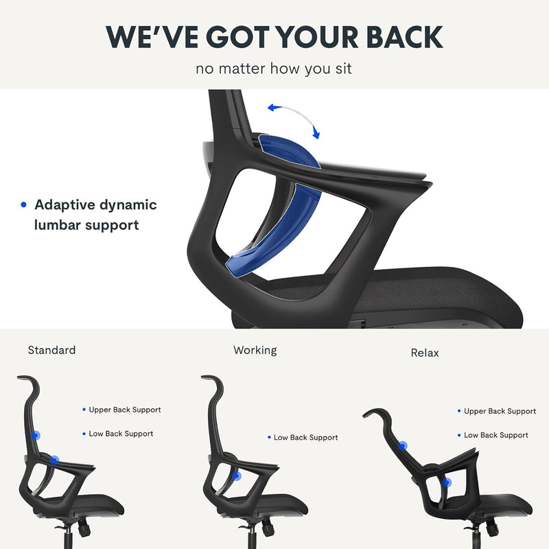 FLEXISPOT Bürostuhl Ergonomisch Schreibtischstuhl Computerstuhl Höhenverstellbarer Sitz Kopfstütze A