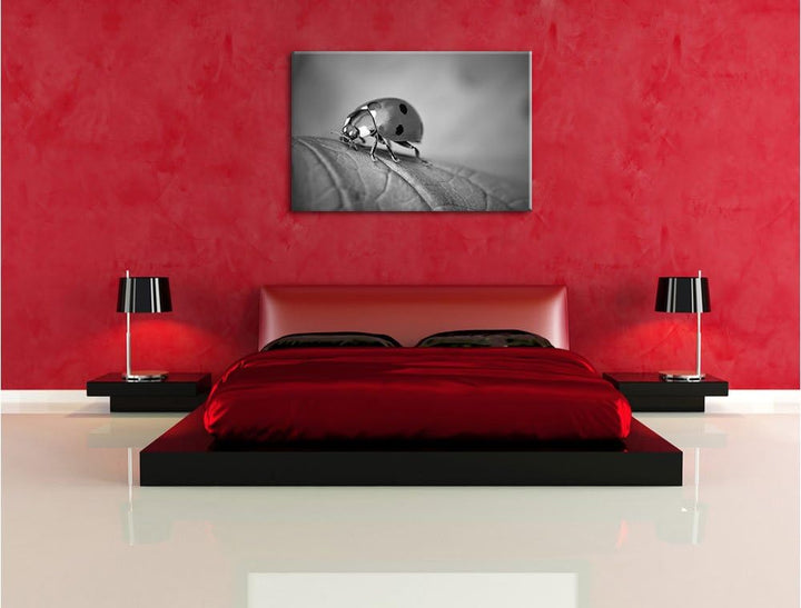 Pixxprint Kleiner Marienkäfer auf Blatt B&W als Leinwandbild/Grösse: 100x70 / Wandbild/Kunstdruck/fe