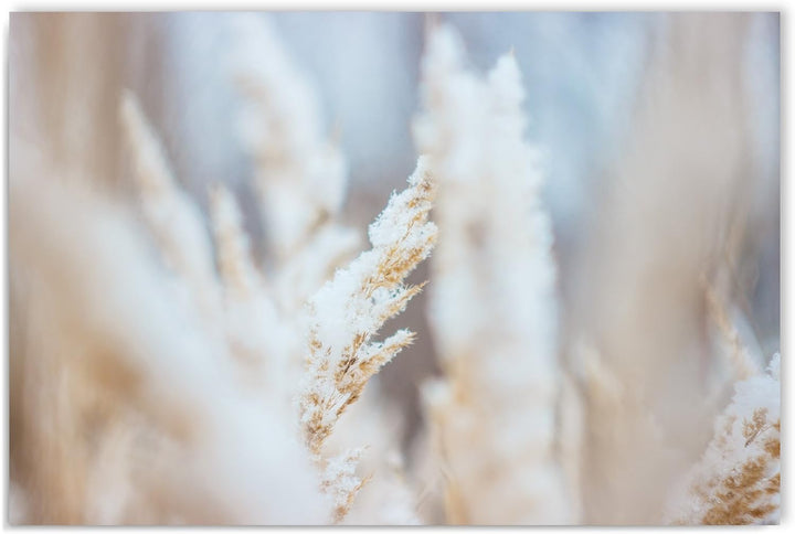 Feeby. Wandbilder - 1 Teilig- 60x80 cm - Bilder Kunstdrucke Deko Panel, GRAS, NATUR, WEIss, 60x80 cm