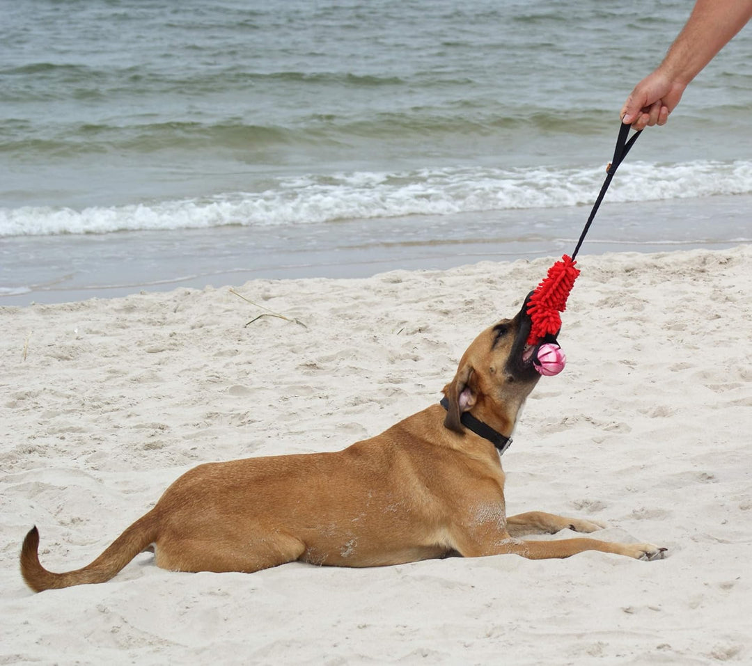 Dingo Mop Bungee Rot Mikrofaser mit Vanille Duft Ball Hundespielzeug Agility Apporte zum Spielen Tau